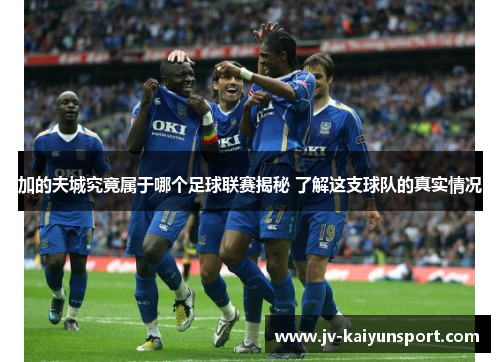 加的夫城究竟属于哪个足球联赛揭秘 了解这支球队的真实情况
